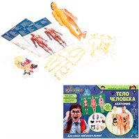 Набор Опыты анатомия тело человека IQ Эксперимент A365-H24039-RU