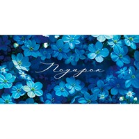 Конверт для денег Подарок 42,218,00