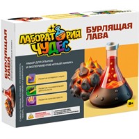Набор Юный химик.Бурлящая лава 950