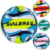 Мяч Волейбол №5 141V-1296