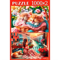 Пазл 2 в 1 1000+1000эл Интересные пазлы П1000-8817