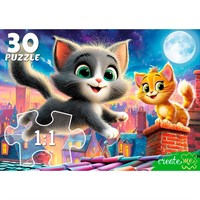Пазл 30 Котята на крыше ПУ30-3184