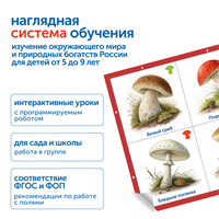 Модуль "Деревья, цветы, грибы России"