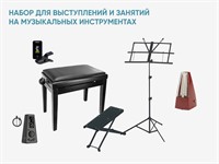 Набор для выступлений и занятий на музыкальных инструментах