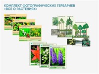 Комплект фотографических гербариев «Все о растениях»