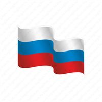 Настенная панель "Флаг России", "Флаг Области", "Флаг Города" под заказ
