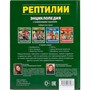 Книга Умка 978-5-506-03297-7 Энциклопедия.Рептилии А5 - фото 26571775