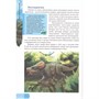 Книга 978-5-378-27546-5 ЭНЦИКЛОПЕДИЯ В МИРЕ ЗНАНИЙ.  МИР ДИНОЗАВРОВ - фото 26883818
