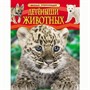 Книга 978-5-353-06868-6 Детеныши животных.Детская энциклопедия - фото 28359159