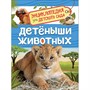 Книга энциклопедия 978-5-353-09339-8 Детеныши животных.Энциклопедия для детского сада - фото 30658197