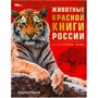 Книга Умка 9785506092032 Животные Красной книги России. Исчезающие виды. Энциклопедия - фото 31895092