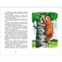 Книга 978-5-353-07861-6 Паустовский К.Барсучий нос.Рассказы и сказки (ВЧ) - фото 32984877
