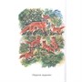 Книга 978-5-353-10133-8 Скребицкий Г. Рассказы о природе (ВЧ) - фото 32993363