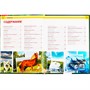 Книга Умка 978-5-506-02107-0 Энциклопедия.Животные - фото 33000498
