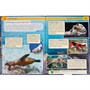 Книга Умка 978-5-506-02106-3 Энциклопедия.Моря и океаны - фото 33000503
