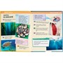 Книга Умка 9785506035909 Энциклопедия.Моря и океаны.365 фактов А4 - фото 33000538