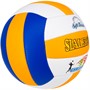 Мяч Волейбол №5 206/FG230920088 - фото 33015161