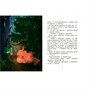 Книга 978-5-00132-534-5 Светлячок для единорога. Сказка - фото 33024710