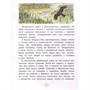 Книга 978-5-00132-401-0 История одного волчонка. Рассказ - фото 33024830