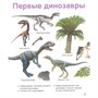 Книга 978-5-353-10530-5 Динозавры. Твоя первая фотокнига - фото 33025683