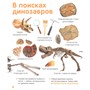 Книга 978-5-353-10530-5 Динозавры. Твоя первая фотокнига - фото 33025684