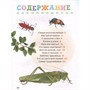 Книга 978-5-353-10886-3 Насекомые. Первая энциклопедия малыша - фото 33025848