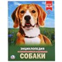Книга Умка 978-5-506-02336-4 Энциклопедия.Собаки.А4 - фото 33029171