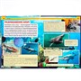 Книга Умка 978-5-506-02285-5 Энциклопедия.Акулы.А4 - фото 33029187