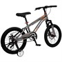 Велосипед двухколесный 18" WILLPOWER серый FG240528149L-3 - фото 33655230
