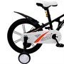 Велосипед двухколесный 16" черный FG240528102L-1 - фото 35794698