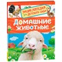 Книга 978-5-353-11375-1 Домашние животные (Энциклопедия для детского сада) - фото 40360435