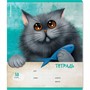 Тетрадь 18 л. клетка Funny Cats ErichKrause 54193 - фото 41771643