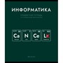 Тетрадь 48 л. клетка Нахимичили Информатика 022884 - фото 43805851
