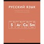 Тетрадь 48 л. линия Нахимичили Русский язык 022860 - фото 43805975