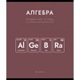 Тетрадь 48 л. клетка Нахимичили Алгебра 022969 - фото 43806293
