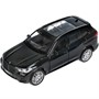 Модель X5-12-BK BMW X5 M-SPORT Технопарк  в коробке - фото 47042718 Модель X5-12-BK BMW X5 M-SPORT Технопарк  в коробке - фото 47042718