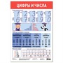 Плакат Цифры и числа 4085 - фото 47043630
