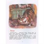 Книга 978-5-353-09966-6 Ушинский К. Сказки и рассказы (Любимые детские писатели) - фото 47043861