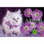 Альбом для рисования 16 л. На мягких лапках 16А4В Hatber - фото 47047712