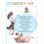 Книга 978-5-353-10384-4 Домашние питомцы. Первая энциклопедия малыша - фото 47048897