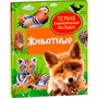 Книга 978-5-353-10380-6 Животные. Первая энциклопедия малыша - фото 47048901