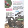 Книга 978-5-353-10380-6 Животные. Первая энциклопедия малыша - фото 47048903