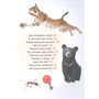 Книга 978-5-353-10380-6 Животные. Первая энциклопедия малыша - фото 47048905