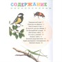 Книга 978-5-353-10380-6 Животные. Первая энциклопедия малыша - фото 47048906