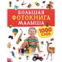 Книга 978-5-353-10544-2 Большая фотокнига малыша. 1000 слов - фото 47049876