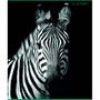 Тетрадь А5 96 л. клетка В мире дикой природы ТК968676 - фото 47056990