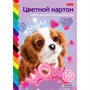 Картон цвет 10 л. 10 цв. А4 мелованный Волшебный Веер 10Кц4 Hatber. - фото 47059081