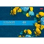 Альбом для рисования 48 л. Роскошные цветы 48А4В Hatber - фото 47059570