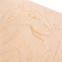 Набор для творчества Доска для выжигания Динозавр МУЛЬТИ АРТ DVDINO-120666 - фото 47064132