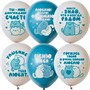 Шар 12" 30 см ассорти рис. Ламур 25шт 6082536 /цена за упак/ - фото 47065322